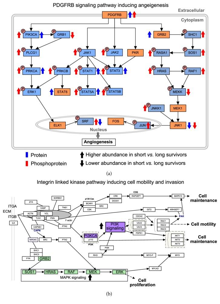 https://cdn.ncbi.nlm.nih.gov/pmc/blobs/0c38/6192166/a77507dd13fb/BMRI2018-9836256.003.jpg