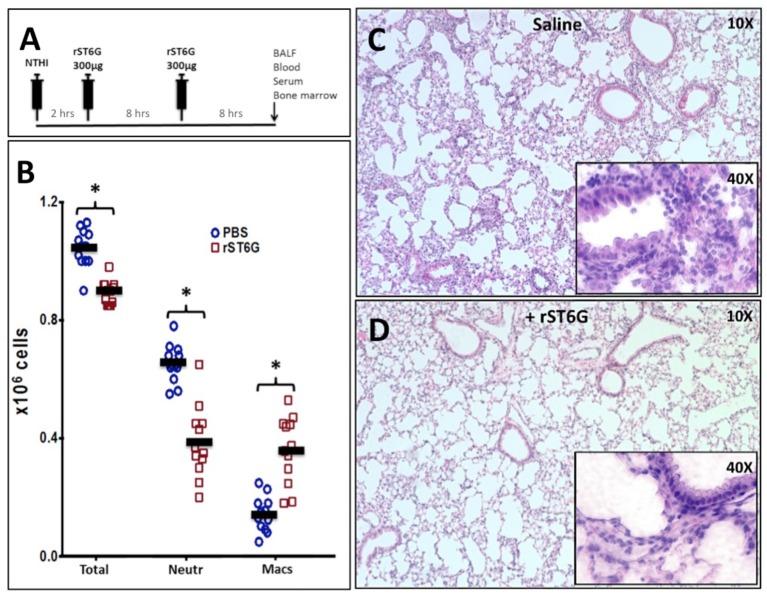 https://cdn.ncbi.nlm.nih.gov/pmc/blobs/0c39/6369197/b9c0ae5094c5/fimmu-10-00048-g0004.jpg