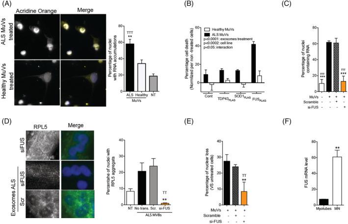 https://cdn.ncbi.nlm.nih.gov/pmc/blobs/0c39/8978001/39add7e68013/JCSM-13-1385-g004.jpg
