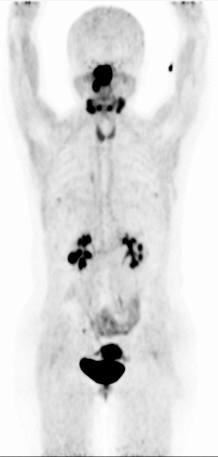 https://cdn.ncbi.nlm.nih.gov/pmc/blobs/0c3c/12032088/ae8d014a1f81/13550_2025_1231_Fig5_HTML.jpg