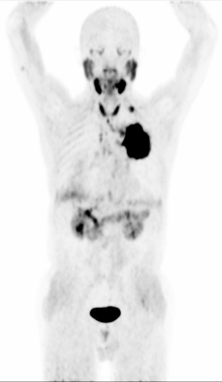 https://cdn.ncbi.nlm.nih.gov/pmc/blobs/0c3c/12032088/e149c778ac06/13550_2025_1231_Fig2_HTML.jpg