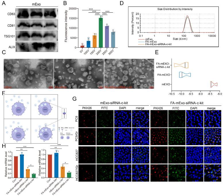 https://cdn.ncbi.nlm.nih.gov/pmc/blobs/0c3f/11667802/21b871c48f65/ijbsv21p0382g003.jpg