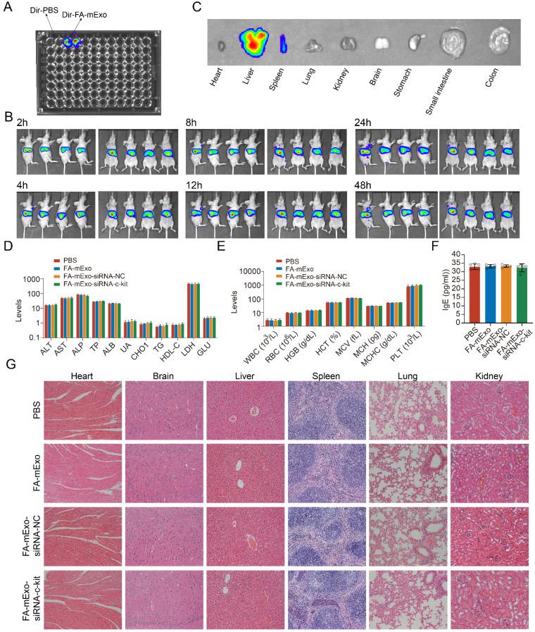 https://cdn.ncbi.nlm.nih.gov/pmc/blobs/0c3f/11667802/2f83d3d1f8a9/ijbsv21p0382g006.jpg