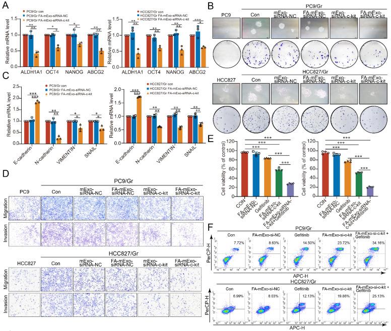 https://cdn.ncbi.nlm.nih.gov/pmc/blobs/0c3f/11667802/3666fd47cb7e/ijbsv21p0382g004.jpg