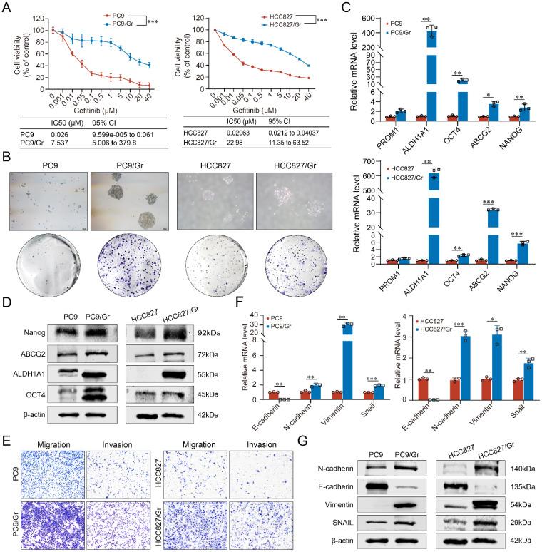 https://cdn.ncbi.nlm.nih.gov/pmc/blobs/0c3f/11667802/502d5b93f205/ijbsv21p0382g001.jpg