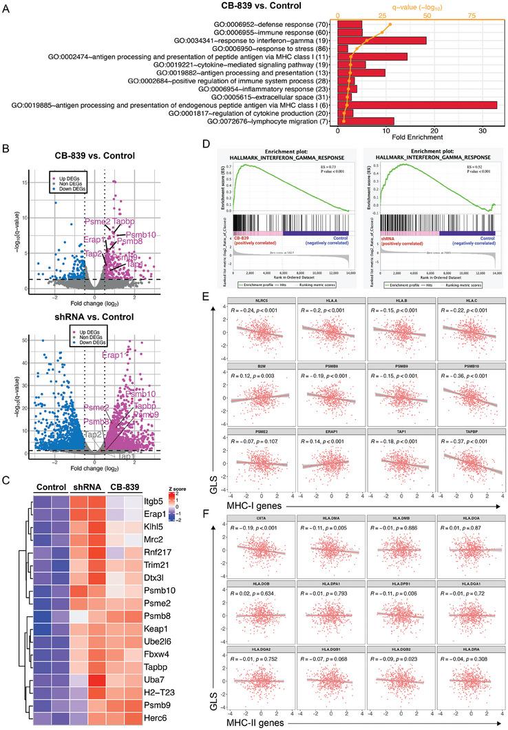 https://cdn.ncbi.nlm.nih.gov/pmc/blobs/0c40/11714253/8d071980ac1a/ADVS-12-2310308-g003.jpg