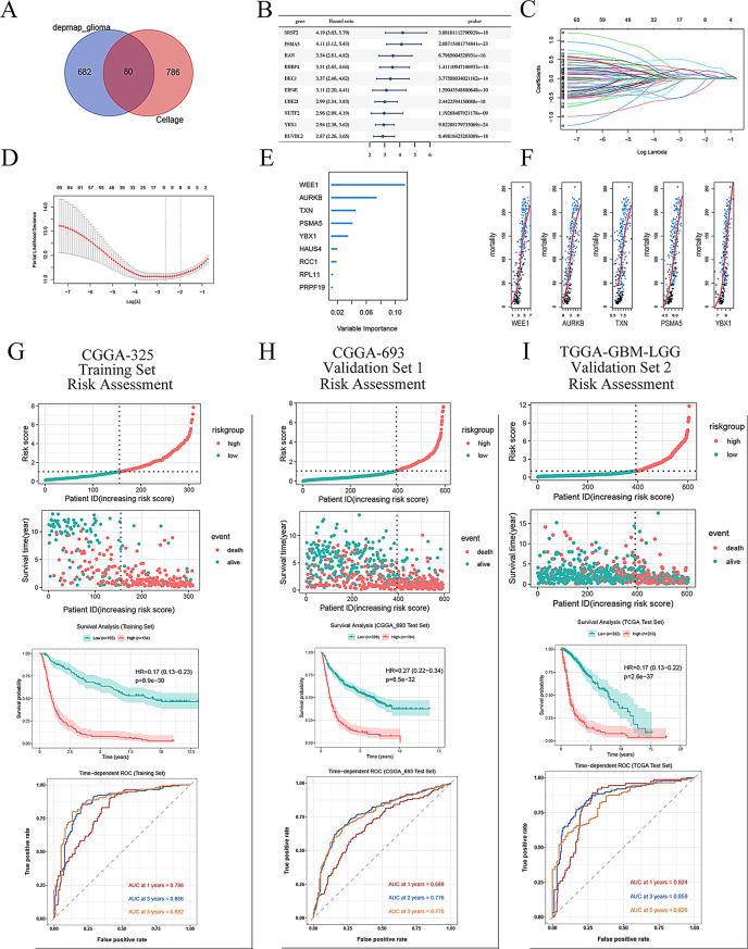 https://cdn.ncbi.nlm.nih.gov/pmc/blobs/0c42/12210515/5e9cf2eee0b7/12885_2025_14441_Fig1_HTML.jpg