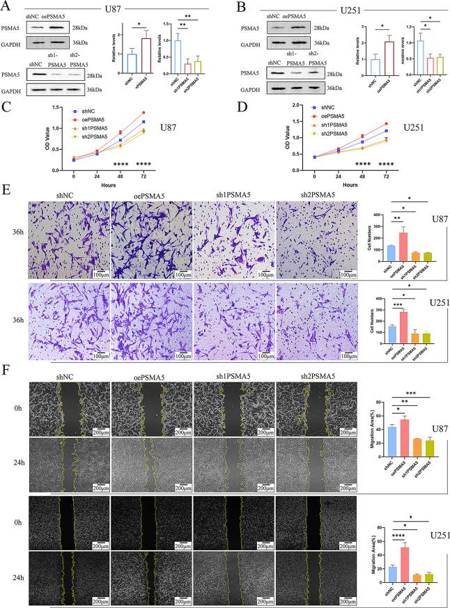 https://cdn.ncbi.nlm.nih.gov/pmc/blobs/0c42/12210515/71211e408184/12885_2025_14441_Fig3_HTML.jpg