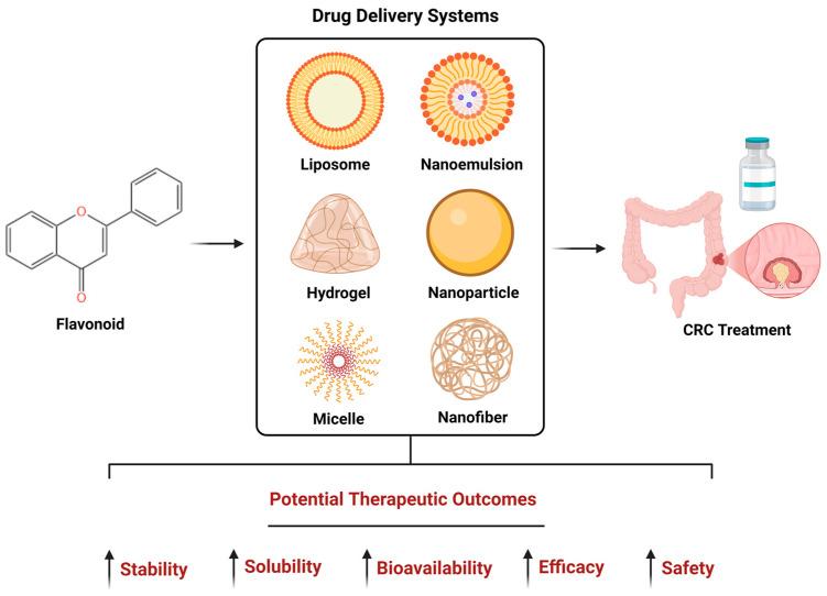 https://cdn.ncbi.nlm.nih.gov/pmc/blobs/0c43/11858883/017d30d0a490/pharmaceuticals-18-00231-g002.jpg