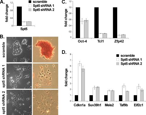 https://cdn.ncbi.nlm.nih.gov/pmc/blobs/0c48/2865308/2043f9e461db/zbc0231016270007.jpg