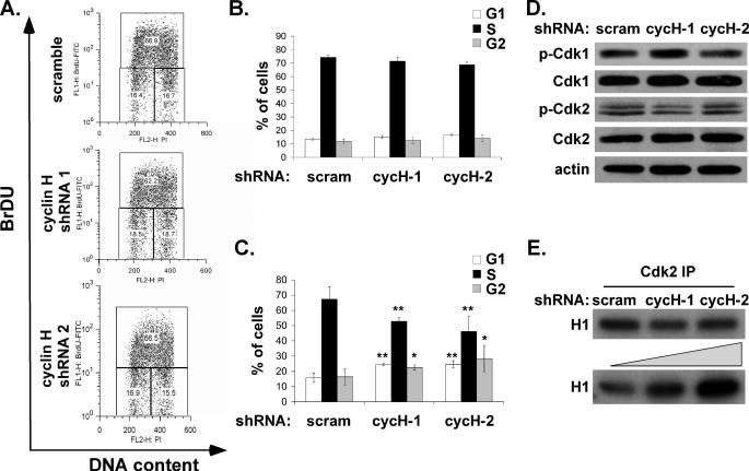 https://cdn.ncbi.nlm.nih.gov/pmc/blobs/0c48/2865308/5679e7c34c60/zbc0231016270005.jpg