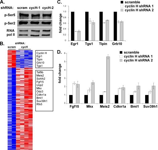 https://cdn.ncbi.nlm.nih.gov/pmc/blobs/0c48/2865308/82869acad157/zbc0231016270006.jpg
