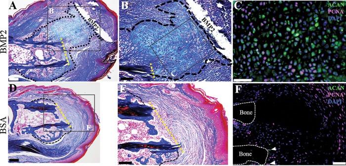 https://cdn.ncbi.nlm.nih.gov/pmc/blobs/0c49/5617898/52fc8b081266/REG2-4-140-g002.jpg