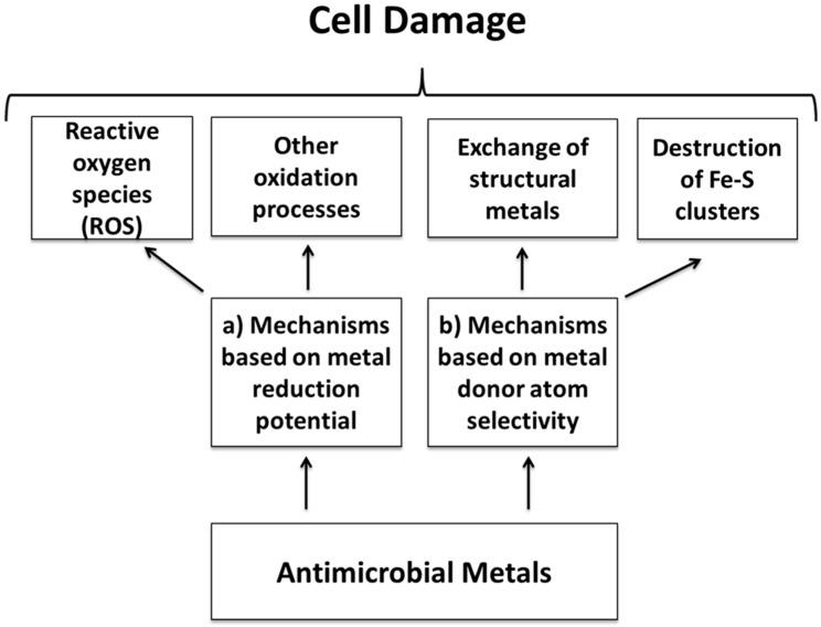 https://cdn.ncbi.nlm.nih.gov/pmc/blobs/0c4b/4307351/1f4095be5c11/ijms-16-02099-g001.jpg
