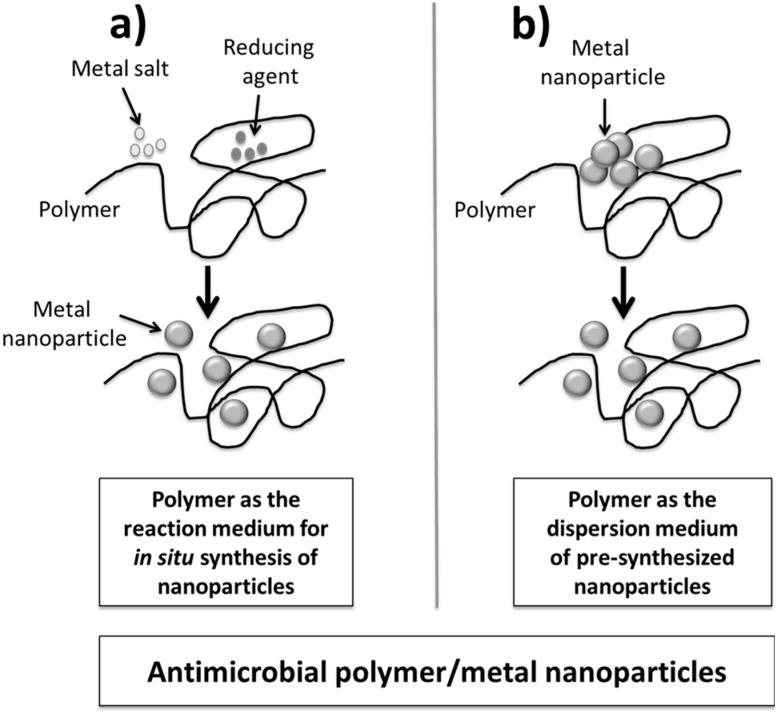 https://cdn.ncbi.nlm.nih.gov/pmc/blobs/0c4b/4307351/d35576133493/ijms-16-02099-g003.jpg