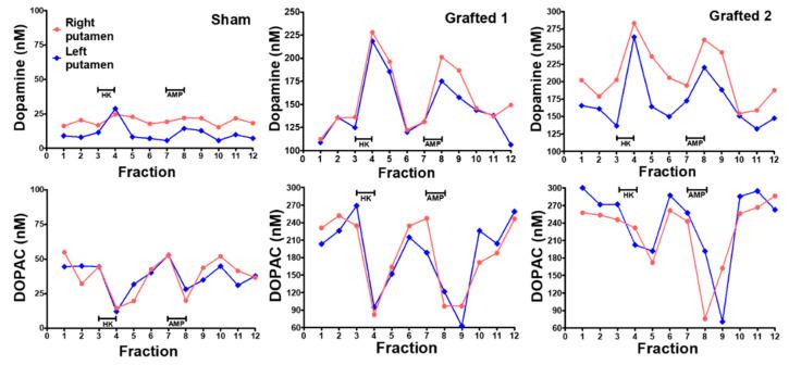 https://cdn.ncbi.nlm.nih.gov/pmc/blobs/0c4c/10706241/0d09b25b8e4e/cells-12-02738-g005.jpg