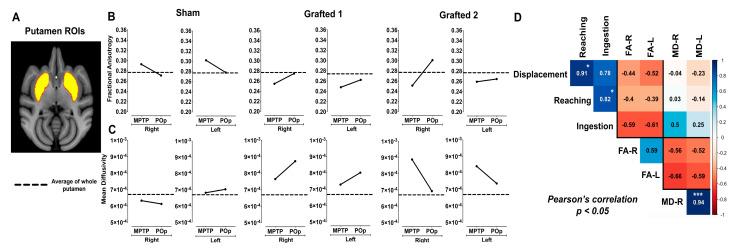 https://cdn.ncbi.nlm.nih.gov/pmc/blobs/0c4c/10706241/8bd350f994db/cells-12-02738-g003.jpg