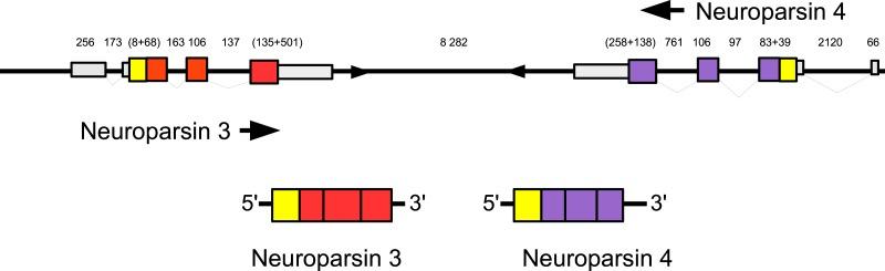 https://cdn.ncbi.nlm.nih.gov/pmc/blobs/0c4c/4888303/10f2d90cddd7/peerj-04-2043-g007.jpg