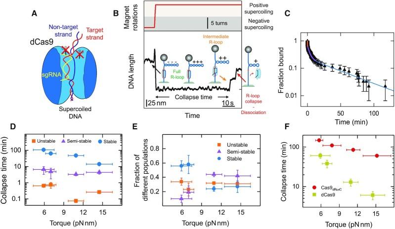 https://cdn.ncbi.nlm.nih.gov/pmc/blobs/0c4c/8643700/651b93e7bf64/gkab1072fig4.jpg
