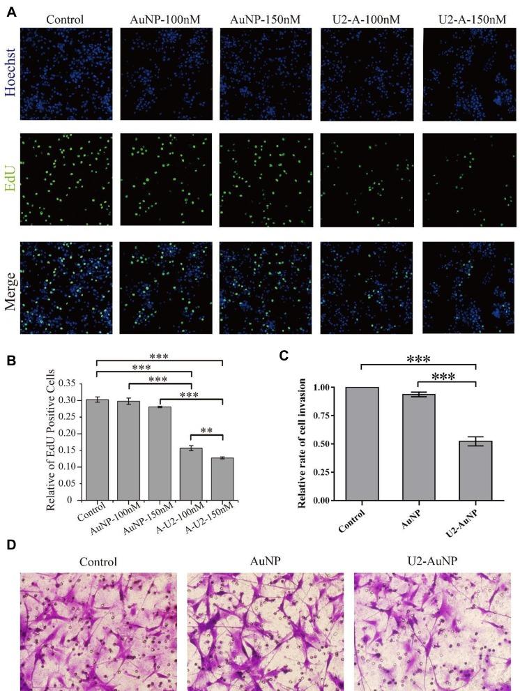 https://cdn.ncbi.nlm.nih.gov/pmc/blobs/0c4d/7053811/ffc481f1b280/IJN-15-1363-g0002.jpg