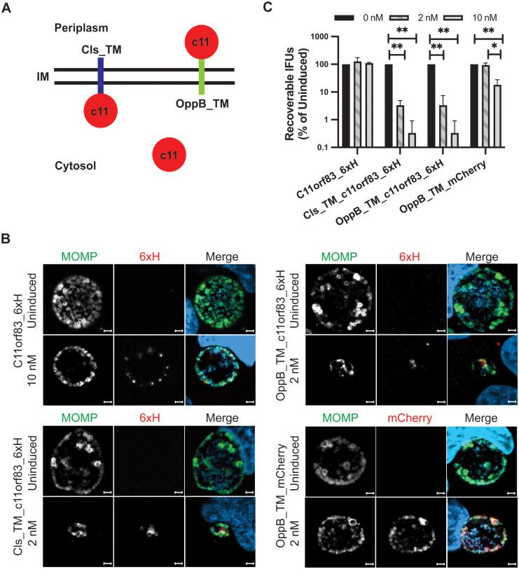 https://cdn.ncbi.nlm.nih.gov/pmc/blobs/0c51/9499288/f6a5ee6cb5f1/ppat.1010836.g005.jpg