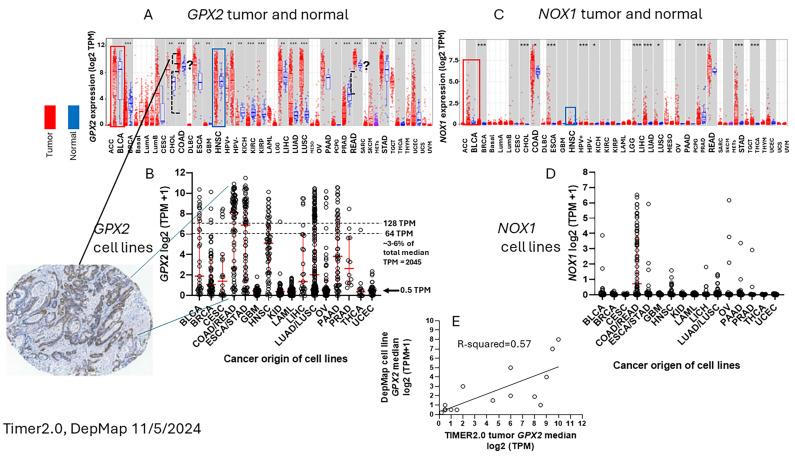 https://cdn.ncbi.nlm.nih.gov/pmc/blobs/0c52/11431474/0038b4154e3e/diseases-12-00207-g002.jpg