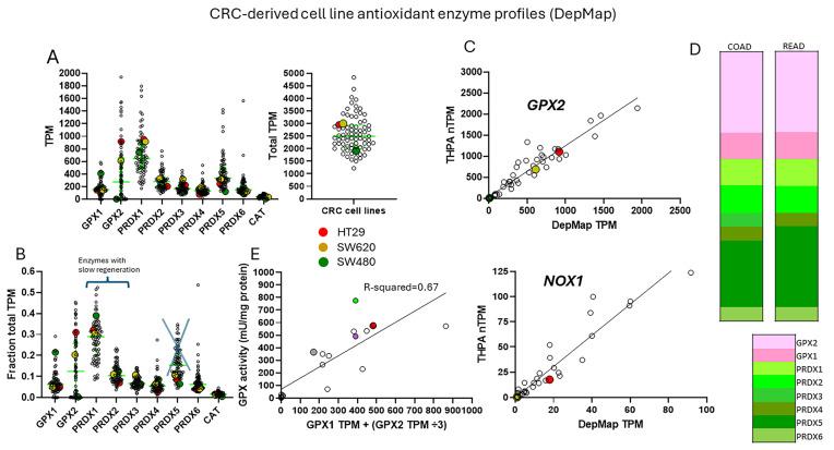 https://cdn.ncbi.nlm.nih.gov/pmc/blobs/0c52/11431474/b13b279fe0cf/diseases-12-00207-g004.jpg
