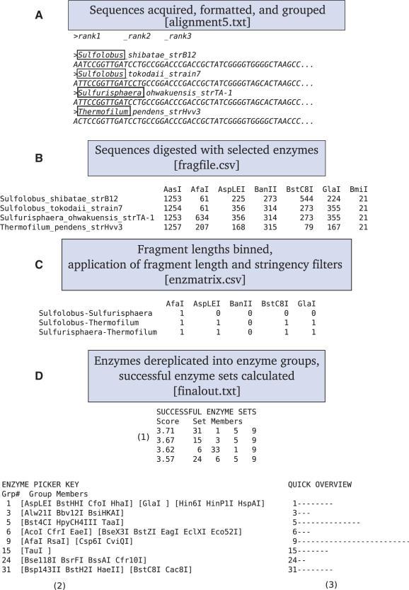https://cdn.ncbi.nlm.nih.gov/pmc/blobs/0c52/1933217/97a84d1d6d2d/gkm384f1.jpg