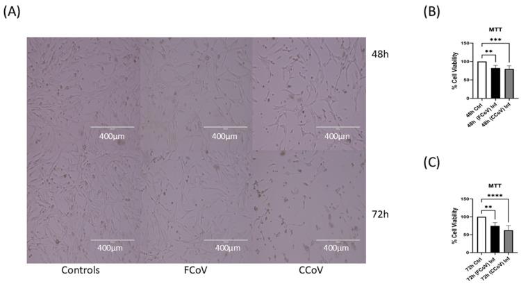 https://cdn.ncbi.nlm.nih.gov/pmc/blobs/0c53/12115506/7f29a575e23b/vetsci-12-00477-g001.jpg