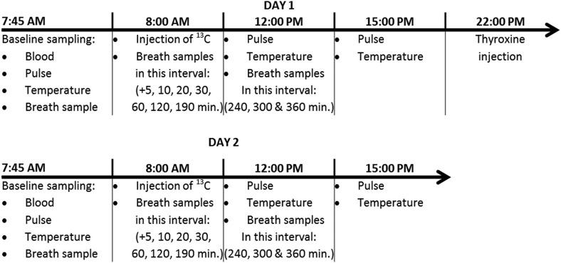 https://cdn.ncbi.nlm.nih.gov/pmc/blobs/0c53/5970278/752edd522442/ec-7-777-g001.jpg