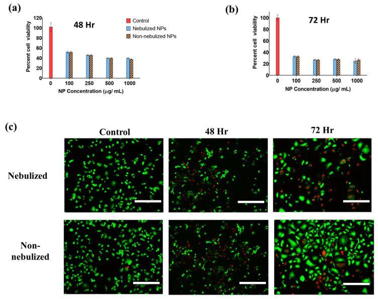 https://cdn.ncbi.nlm.nih.gov/pmc/blobs/0c54/11084240/5f07b9aa6cac/ijms-25-05028-g006.jpg