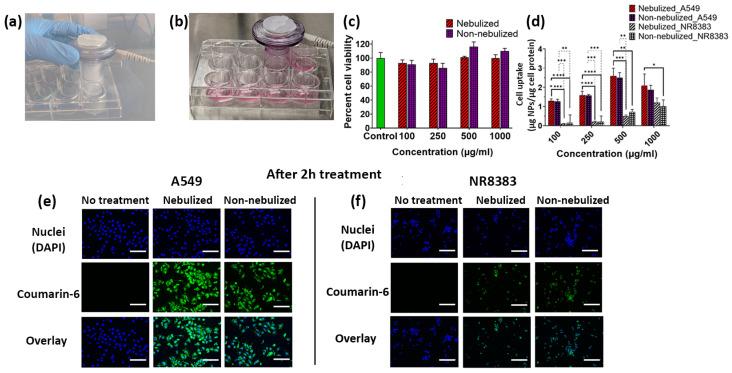 https://cdn.ncbi.nlm.nih.gov/pmc/blobs/0c54/11084240/ad211eb47e53/ijms-25-05028-g005.jpg