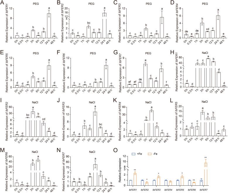 https://cdn.ncbi.nlm.nih.gov/pmc/blobs/0c54/12139147/fa2704889b0f/12870_2025_6732_Fig9_HTML.jpg
