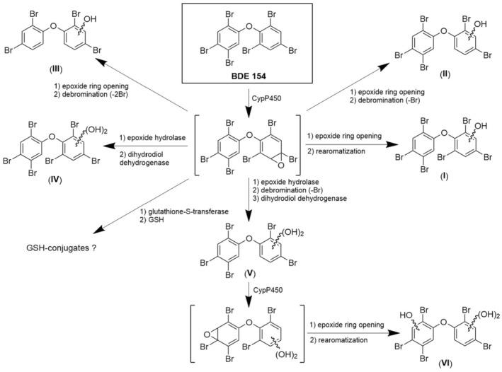 https://cdn.ncbi.nlm.nih.gov/pmc/blobs/0c56/10807361/bf2431df2c75/EFS2-22-e8497-g005.jpg
