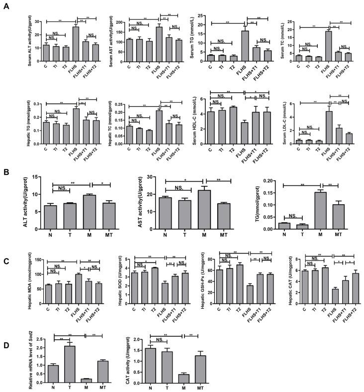 https://cdn.ncbi.nlm.nih.gov/pmc/blobs/0c57/10299483/09fe8d69ecda/ijms-24-10360-g003.jpg