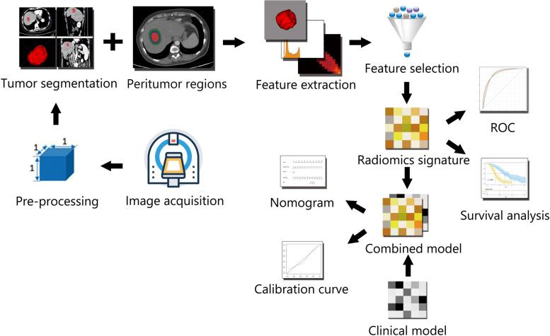 https://cdn.ncbi.nlm.nih.gov/pmc/blobs/0c57/9205126/e59d169f3a61/12885_2022_9743_Fig2_HTML.jpg