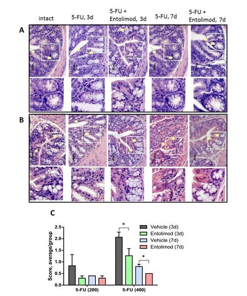 https://cdn.ncbi.nlm.nih.gov/pmc/blobs/0c58/3996654/0f44fceee681/oncotarget-05-802-g005.jpg