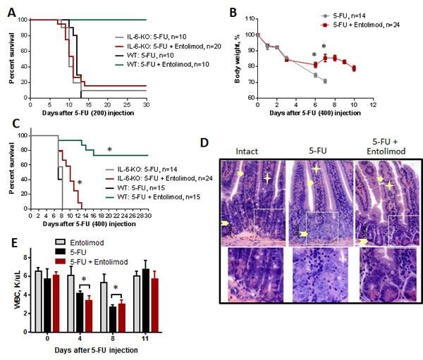 https://cdn.ncbi.nlm.nih.gov/pmc/blobs/0c58/3996654/39ba55dd7135/oncotarget-05-802-g006.jpg