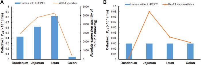 https://cdn.ncbi.nlm.nih.gov/pmc/blobs/0c58/8733657/d95e8fa03e6b/fphar-12-692741-g011.jpg