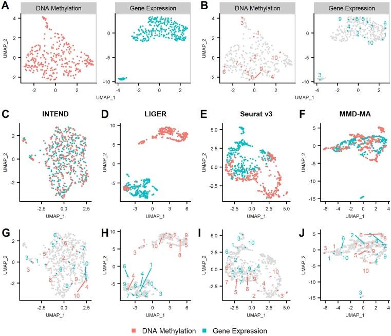 https://cdn.ncbi.nlm.nih.gov/pmc/blobs/0c59/10450176/1b8ebe213b18/gkad566fig3.jpg