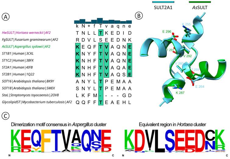 https://cdn.ncbi.nlm.nih.gov/pmc/blobs/0c59/11677658/6f1ff1b0d0d6/marinedrugs-22-00572-g008.jpg