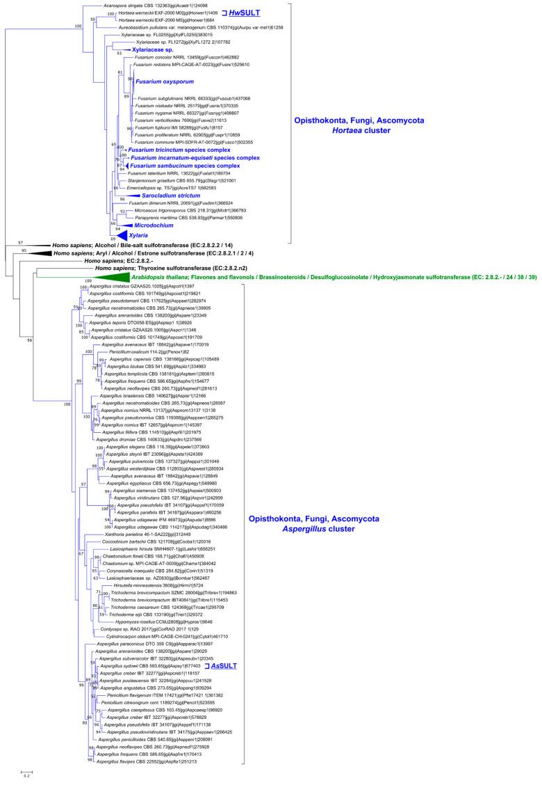 https://cdn.ncbi.nlm.nih.gov/pmc/blobs/0c59/11677658/a49fafe7c014/marinedrugs-22-00572-g002.jpg