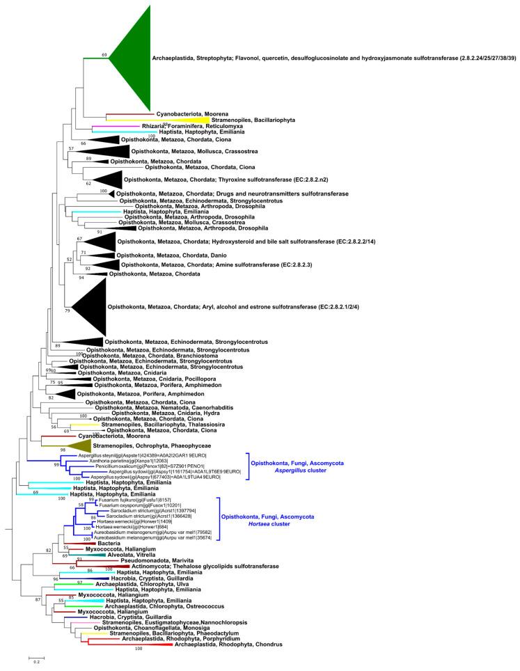 https://cdn.ncbi.nlm.nih.gov/pmc/blobs/0c59/11677658/b298dd805d2d/marinedrugs-22-00572-g003.jpg