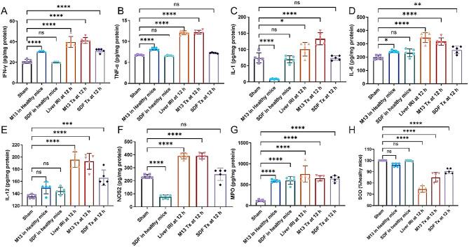 https://cdn.ncbi.nlm.nih.gov/pmc/blobs/0c5a/11223400/c29374876028/12951_2024_2661_Fig5_HTML.jpg