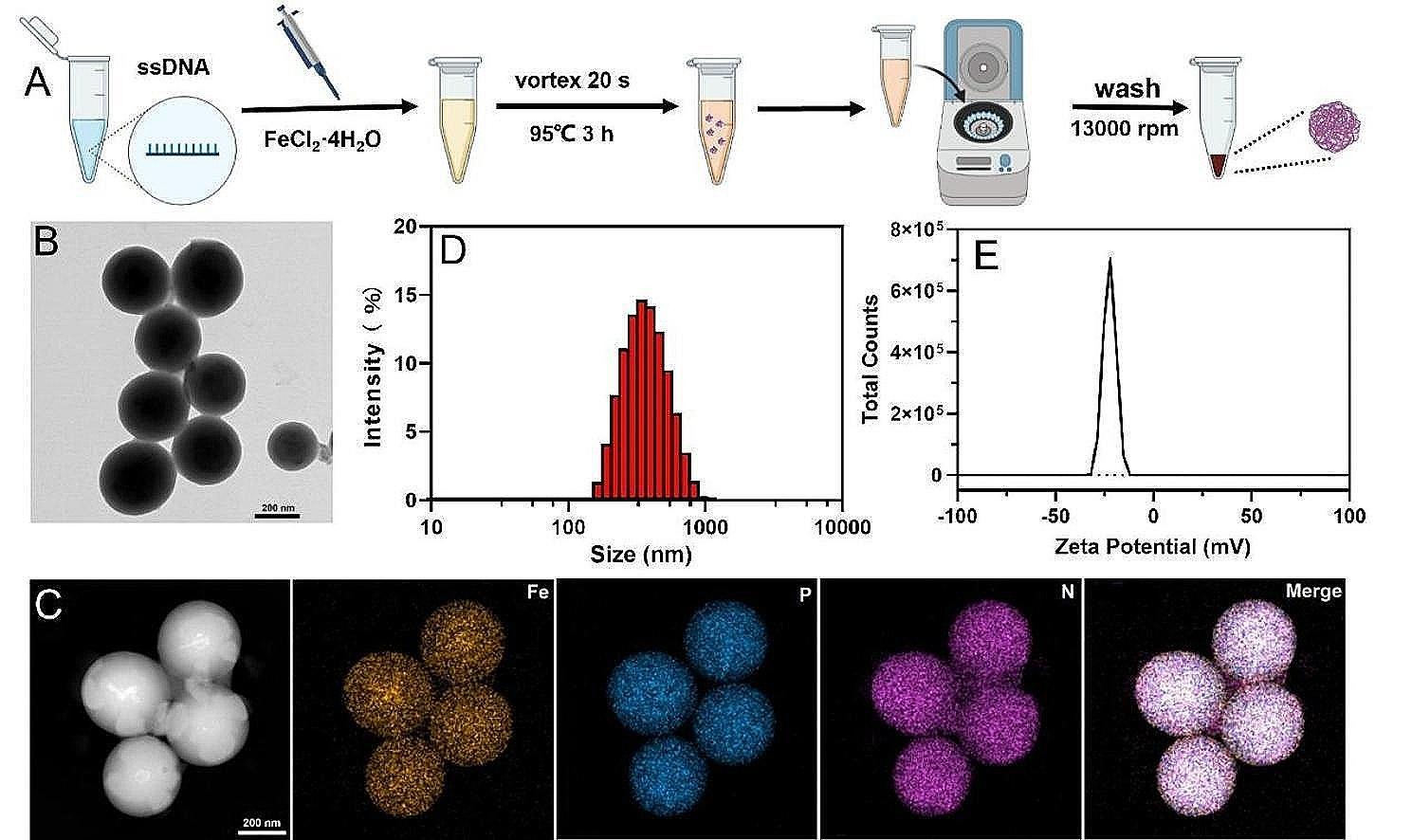 https://cdn.ncbi.nlm.nih.gov/pmc/blobs/0c5a/11223400/e37915c4eb3c/12951_2024_2661_Fig1_HTML.jpg