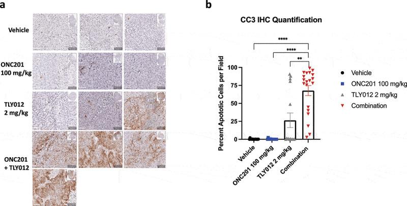 https://cdn.ncbi.nlm.nih.gov/pmc/blobs/0c5a/8726623/15d4c73b78a3/KCBT_A_1976567_F0007_OC.jpg