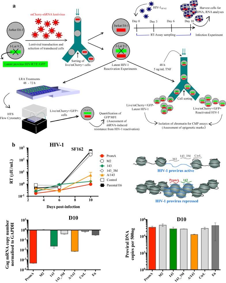 https://cdn.ncbi.nlm.nih.gov/pmc/blobs/0c5b/6172763/5e3288943eee/12977_2018_451_Fig1_HTML.jpg