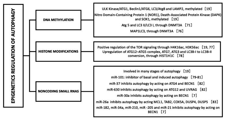 https://cdn.ncbi.nlm.nih.gov/pmc/blobs/0c5b/8745146/5edf75b7e838/ijms-23-00421-g003.jpg