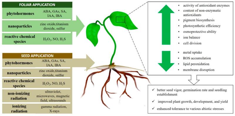https://cdn.ncbi.nlm.nih.gov/pmc/blobs/0c5c/9571535/b9059edc55c2/plants-11-02544-g002.jpg