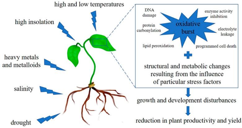 https://cdn.ncbi.nlm.nih.gov/pmc/blobs/0c5c/9571535/ef15bf2cf27c/plants-11-02544-g001.jpg